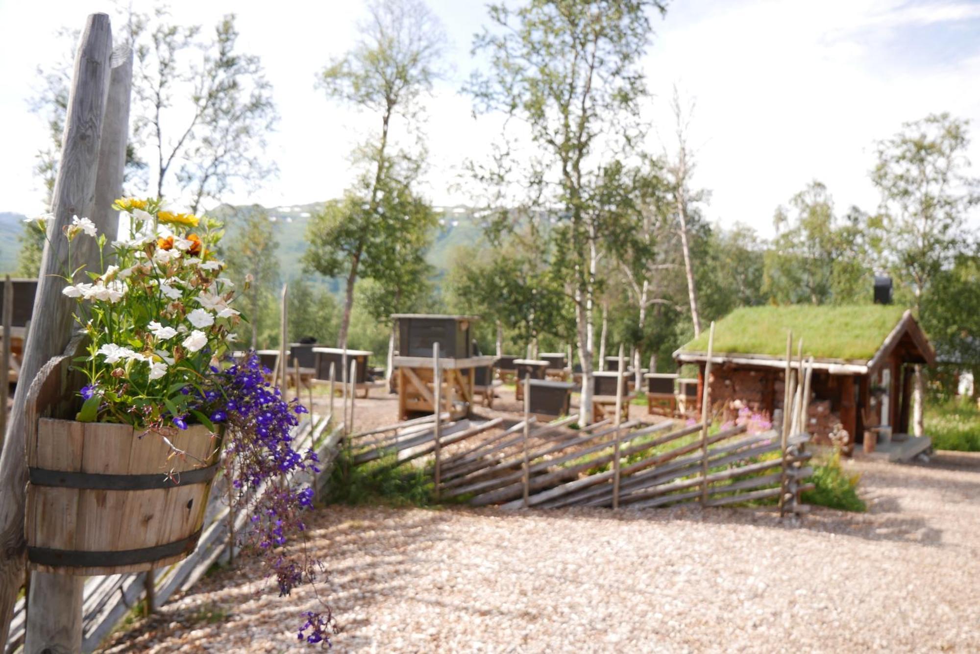 Bardu Huskylodge Екстериор снимка