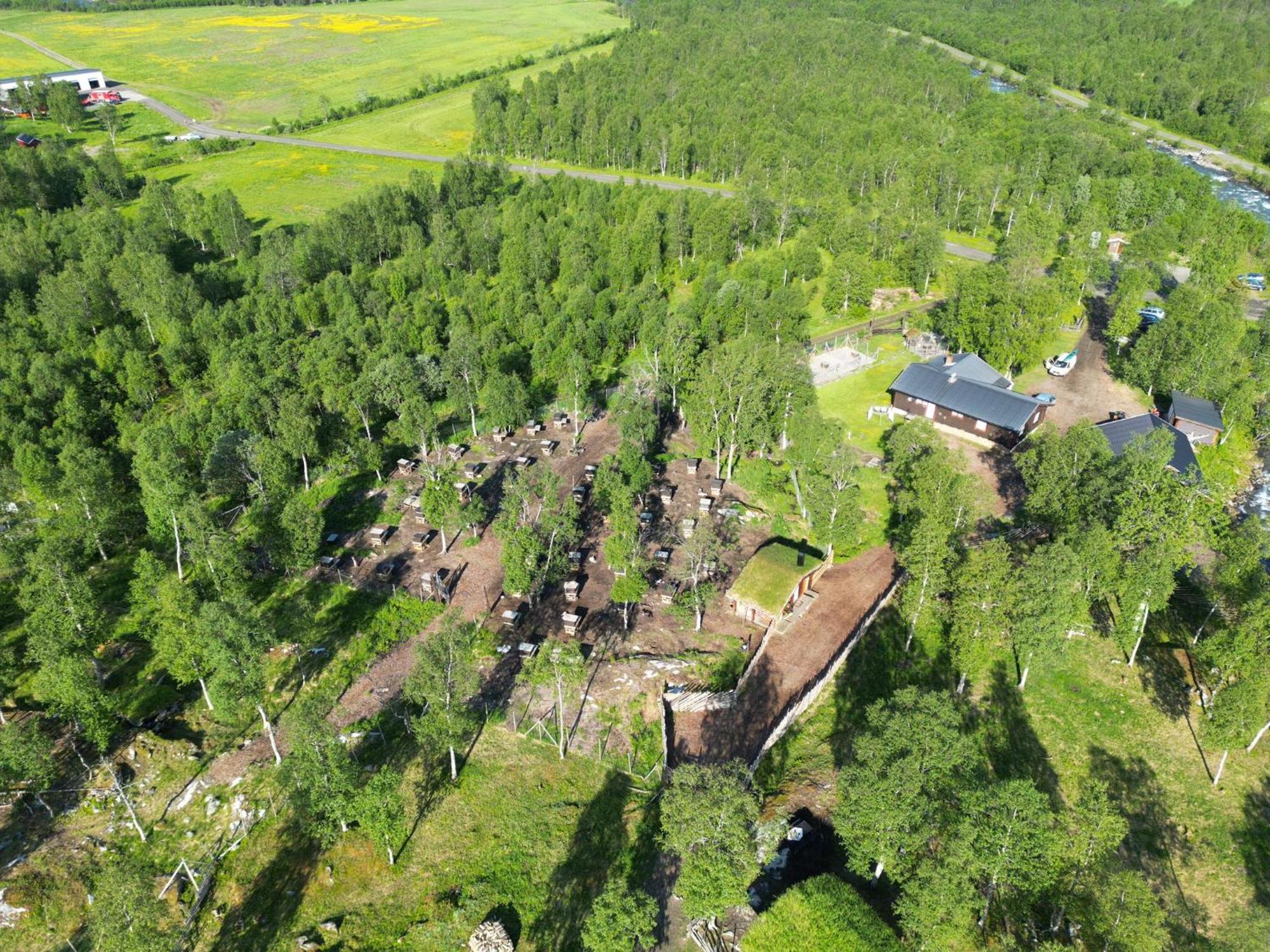 Bardu Huskylodge Екстериор снимка