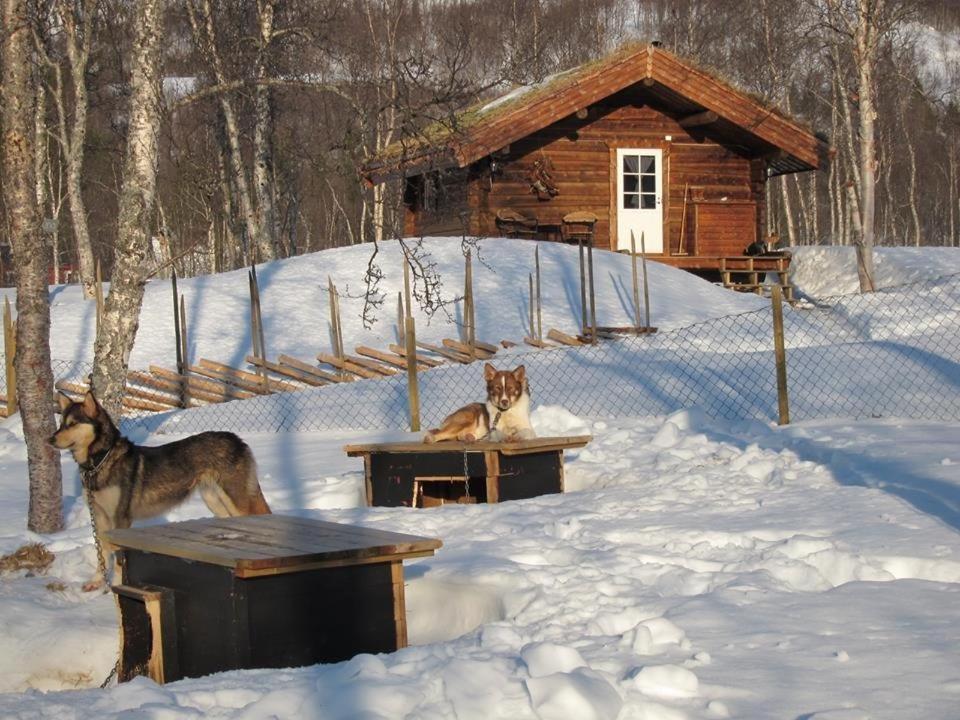 Bardu Huskylodge Екстериор снимка