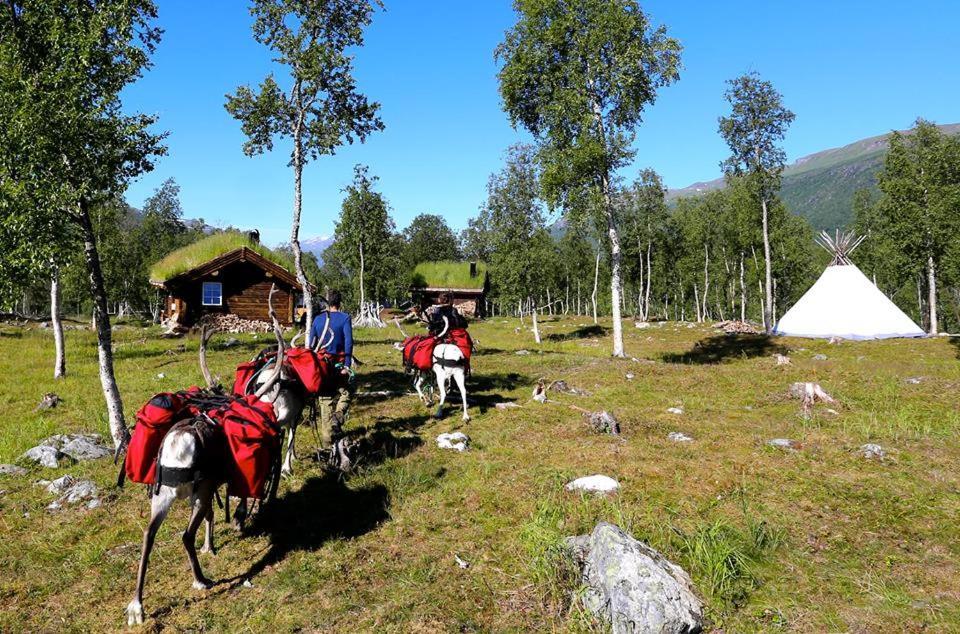 Bardu Huskylodge Екстериор снимка