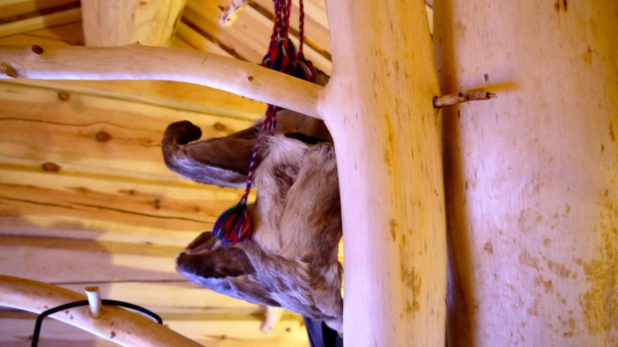 Bardu Huskylodge Екстериор снимка